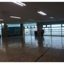 위너태권스쿨 이미지