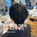 신운미애견미용실 | 안산 중앙동 미용실 ❛살롱드로웰미❜ 예준 디자이너 리프컷 후기