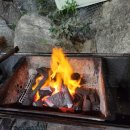 도그엔조이 이미지