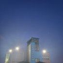 해도동 바다섬 | 울릉도 1일