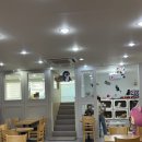 야탑 키즈카페 추천 유후점핑클럽 야탑점