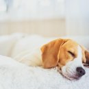 아이원메디칼 이미지