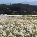 은빛공원 이미지