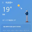 송화목재 이미지