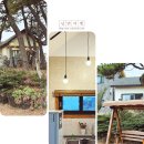 온더스톤(on the stone) 성산점 | 온더스톤 펜션 : 제주 서귀포숙소 성산읍펜션 반려견동반