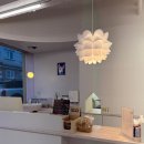 하이댕댕 펫살롱 이미지