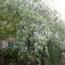 펜션스타디움 이미지