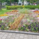 수창빌딩 이미지