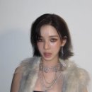 디카민트 네이버블로그