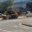 곰내길 | 운전면허 취득 기간 및 과정, 부산 기장 아세아 자동차 학원 등록 가격 및 단기간 일주일 합격 후기.