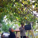 신원농장 이미지