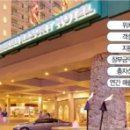 ㈜한진렌트카 이미지