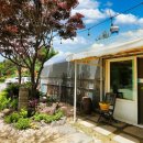 다모아펜션 이미지