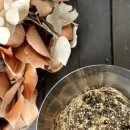 뉴와우모터스 이미지