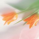 에너벨리 이미지