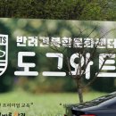 도그와트 이미지