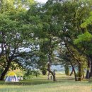 진평왕릉 화장실 이미지