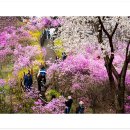 동산밧데리 이미지