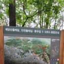 목상동 솔밭길 이미지