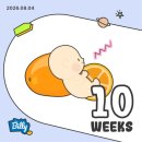 (주)현대종합건재 | [임신일기_10주차] 하이베베 성공, 현대해상 굿앤굿 어린이 종합보험 가입 후기_(내돈내산/설계사 추천)