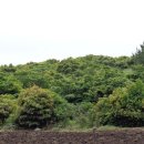 서귀포지방법원 이미지