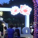 장미회집 이미지