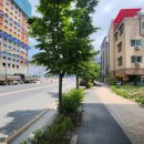 센트럴힐데스하임 이미지