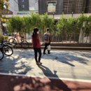 에코스존 | 서울방역 에코스존, 강남 친환경 방역업체로 믿고 맡겼어요