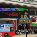 효정민박 이미지