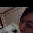 금찌와 리얼금찌 이미지