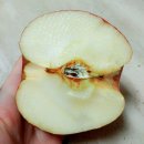 뽕달 | 식사일기&칼로리+53(+500g) / 홍대입구.카페드위드샨 네일카페 후기 & 곡성 & 알뽕달뽕 메뉴 (홍대맛집)