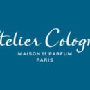 코롱코롱 이미지