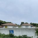 제주 서귀포 숙소 | 가우디가 생각나는 제주 가성비 감성 숙소 내돈내산 발트하우스 EDEL