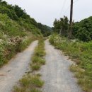 조치원복컴1 이미지