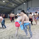 임실군 종합경기장 이미지