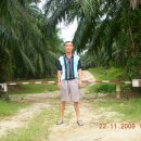 오일농장 이미지