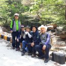 제325차月影臺 定期山行 6.6(火) 이미지