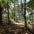 형제봉길 이미지