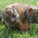 달성공원 이미지