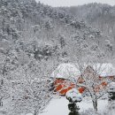 양양군양양댁 이미지