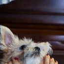 요미야 놀자 이미지