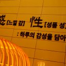 칸세 네이버블로그