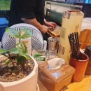 스시연가 이미지