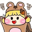 솔라프론트 이미지