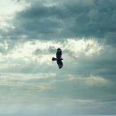 개포하나공인중개사사무소 이미지