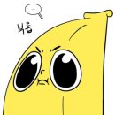 석박 | [2024] 서울대 화생공 대학원 합격 후기_석박통합과정