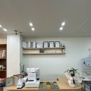 골든햄스터분양 탬펫 | 새로운 반려동물 크림이 데리고 온 후기 :: 햄스터분양 골든햄스터분양 탬펫 충남아산점