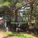 치악골프연습장 이미지