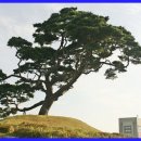 인주미진아파트경로당 | 병아리~ 장닭되기 위한 과정~ 장거리에 파김치~(안면도 라이딩)
