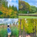 (주)초록숲환경 | 경주 가볼만한곳 경북천년숲정원 단풍 명소 실시간 포토존